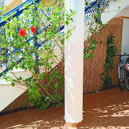 Apartment Bajo Con Porche En Primera Linea En Vera, Almeria *
